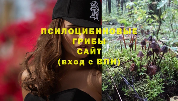 амфетамин Алексин