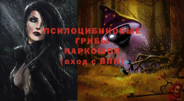 PSILOCYBIN Алексеевка