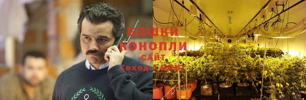 стафф Абаза